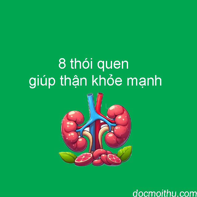 8 Thói Quen Giúp Thận Khỏe Mạnh: Bảo Vệ Cơ Quan Sống Còn Của Cơ Thể