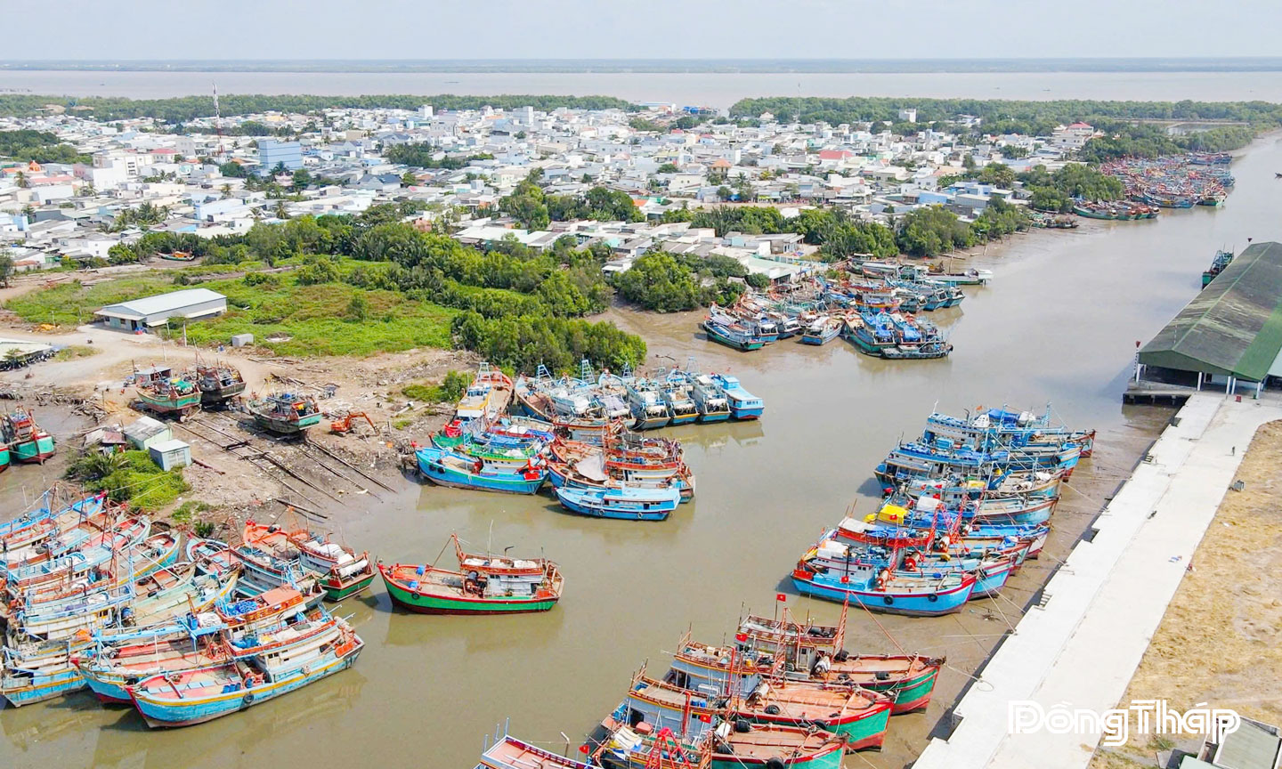 Quyết liệt ngăn chặn khai thác hải sản bất hợp pháp: Cả nước tăng tốc trước yêu cầu gỡ “thẻ vàng” IUU